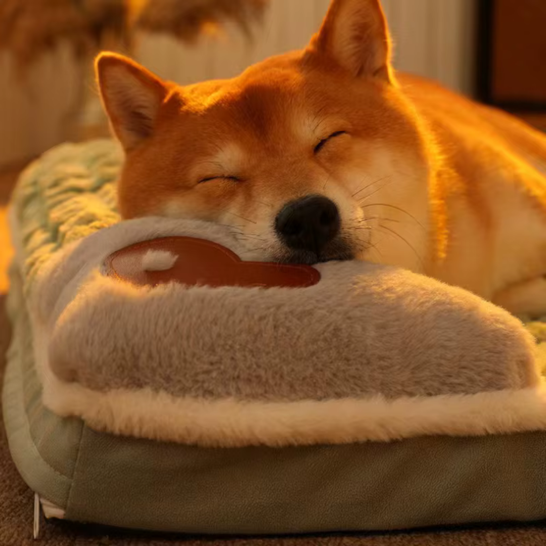 Orthopedic Dog Bed with Memory Foam and Washable Cover