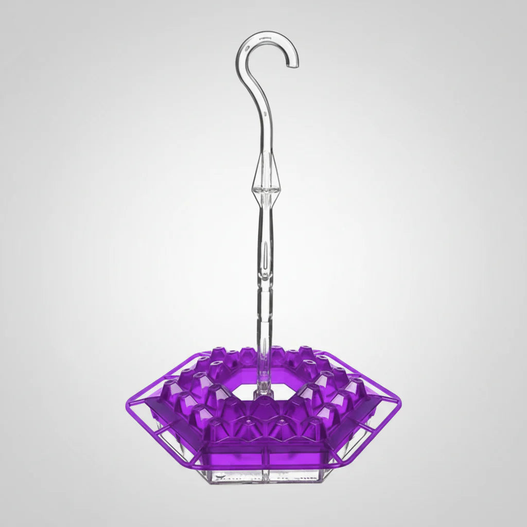 Colorful Bird Feeder with Wide Mouth Fill Ports