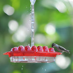 Colorful Bird Feeder with Wide Mouth Fill Ports - Vorem