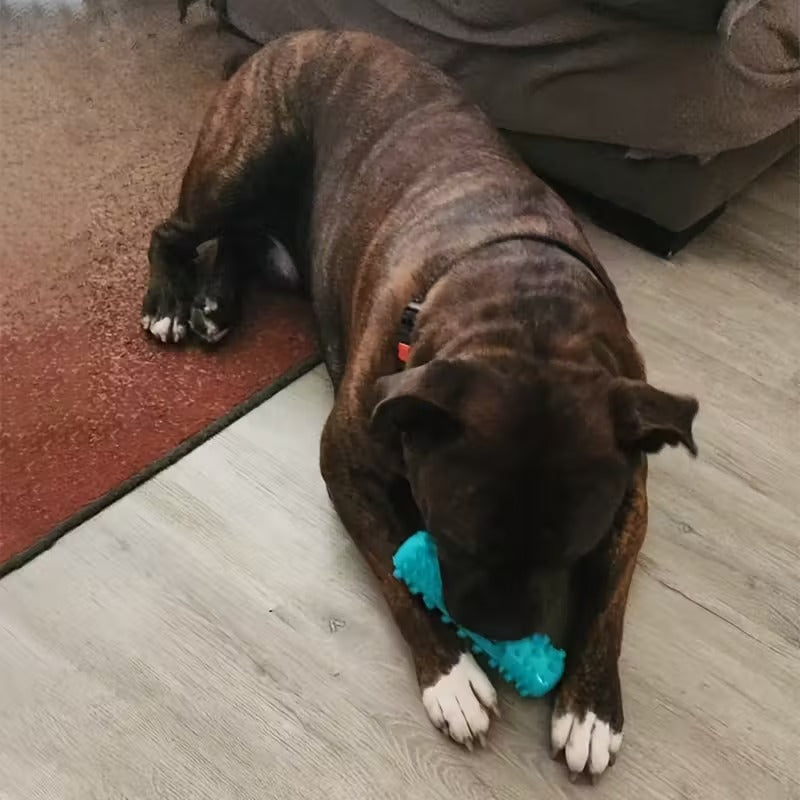 Dog Chew Toy