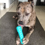 Dog Chew Toy