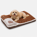 Orthopedic Dog Bed with Memory Foam and Washable Cover