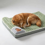 Orthopedic Dog Bed with Memory Foam and Washable Cover