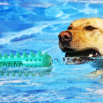 Dog Chew Toy