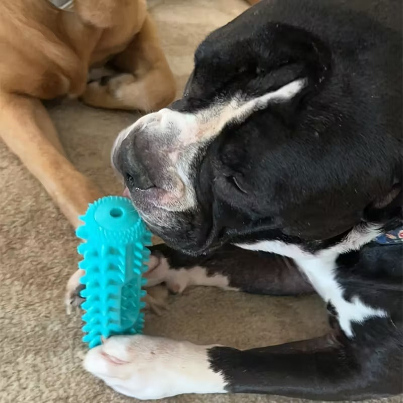Dog Chew Toy