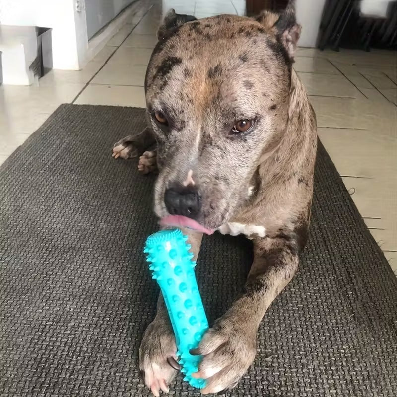 Dog Chew Toy